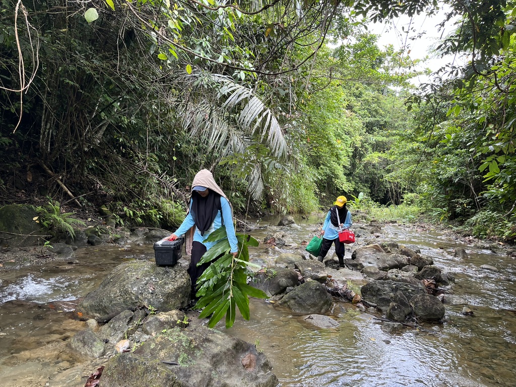 SSRS Indonesia Biodiversity Hub Melaksanakan Riset Baseline Spesies Langka dan Endemik di Ekosistem Hutan dan Pertanian Kecamatan Batui, Banggai